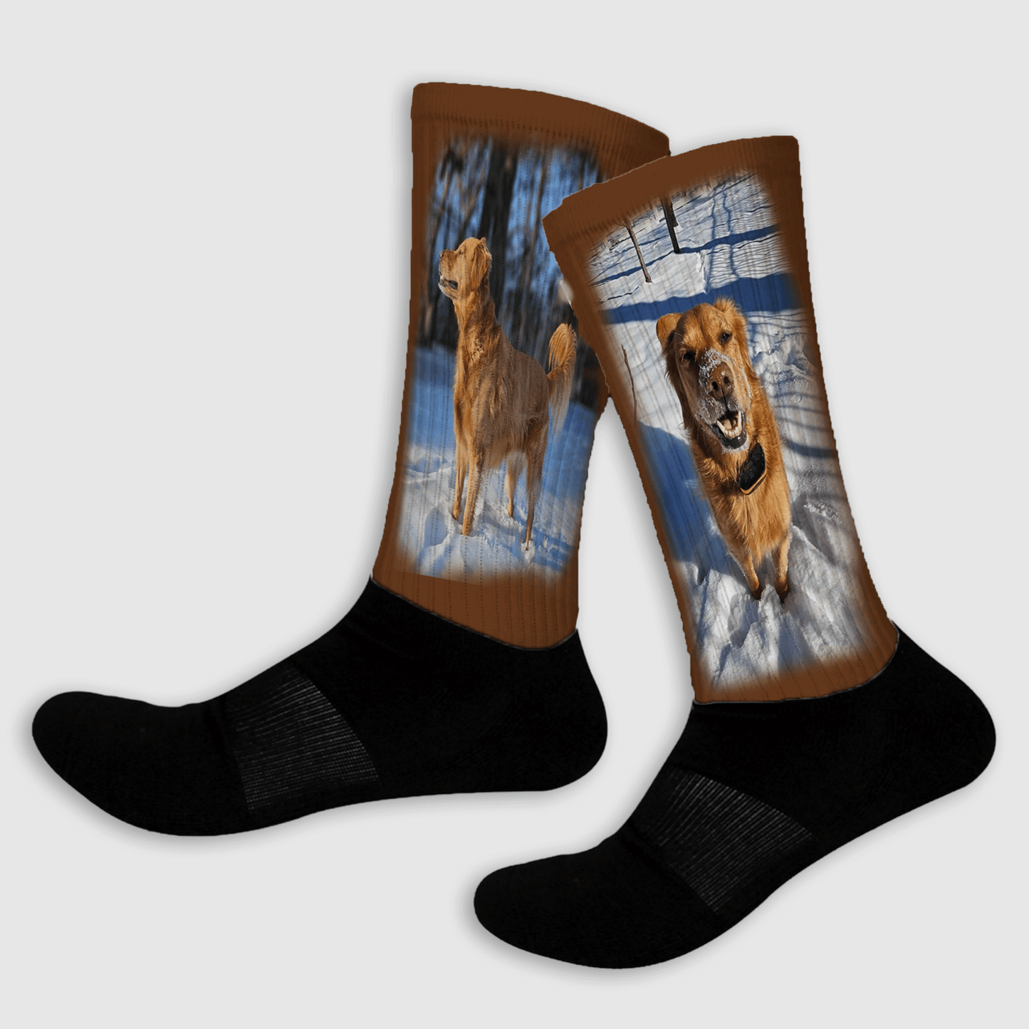Pair of socks with a dog design on a white background