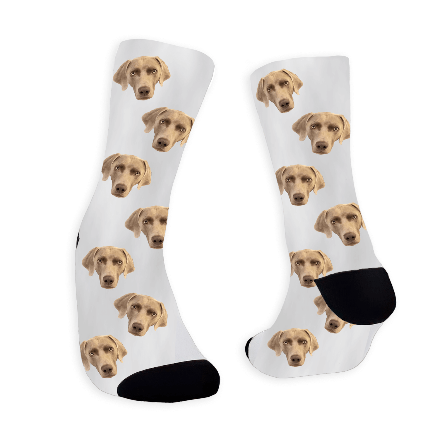 White socks with a dog's face pattern on a white background