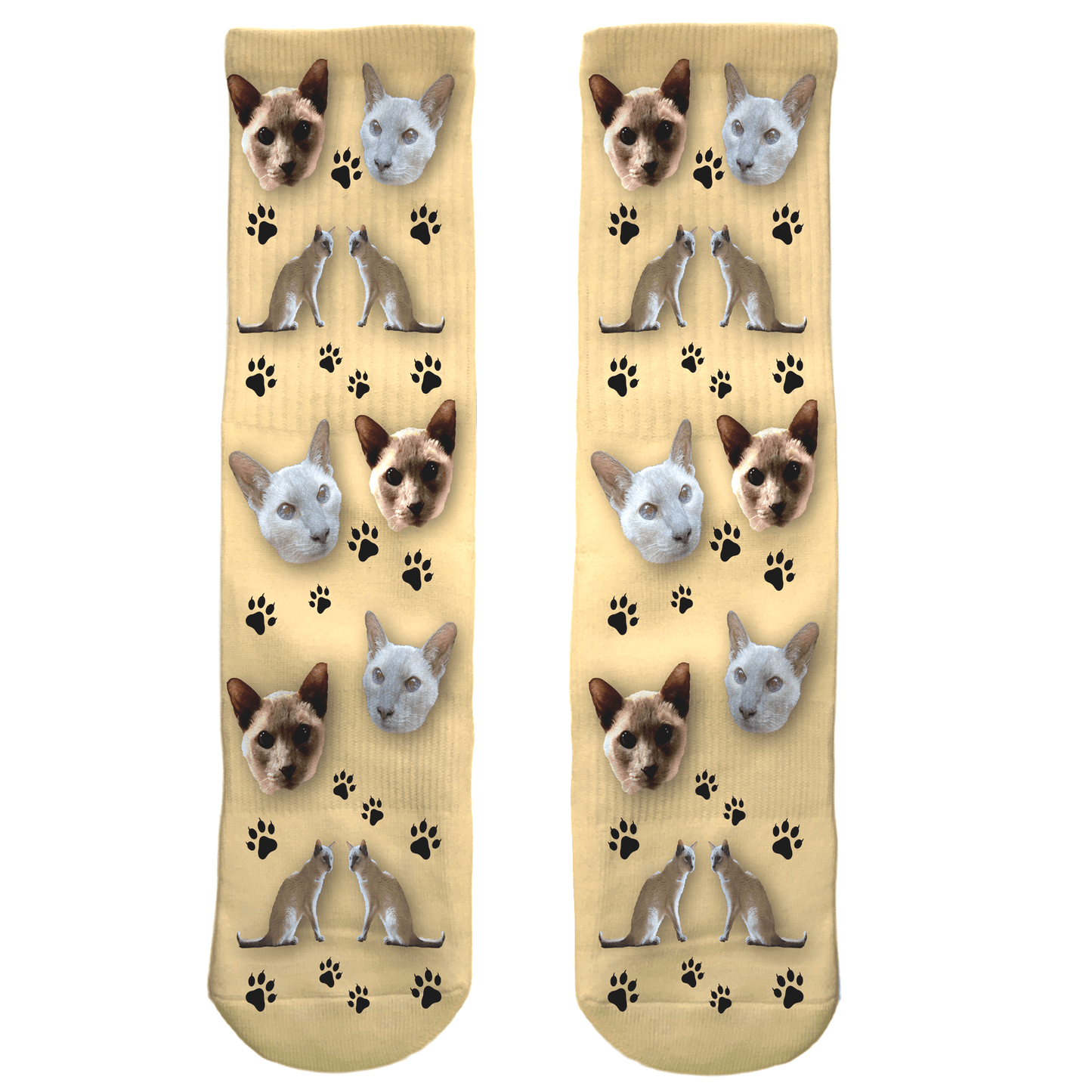 socks with your cat's photo