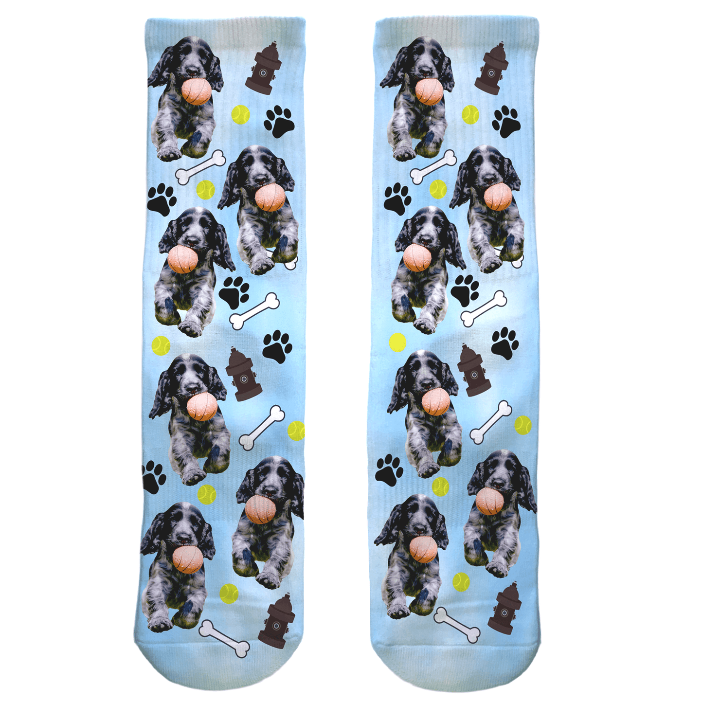 fun colored socks with your dog's photo