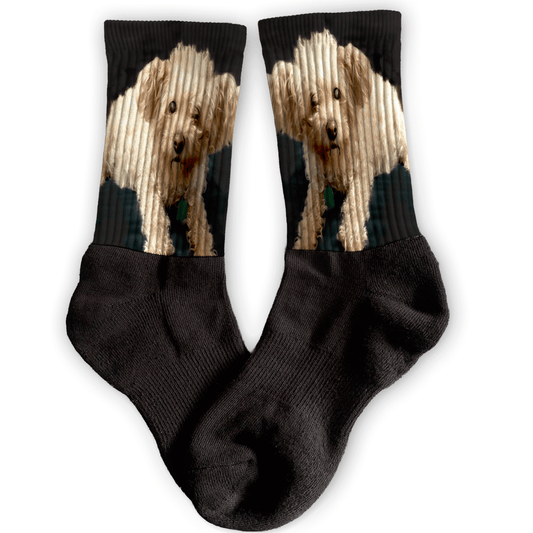 Custom crew socks with full-body pet photo. Personalized gift for pet lovers, available in athletic style and multiple colors.